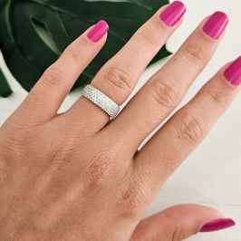 ANEL PT MEIA ALIANÇA