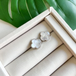 BR PT VIRGINIA BRANCO