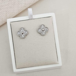 BR PT VIRGINIA CRAVEJADA P