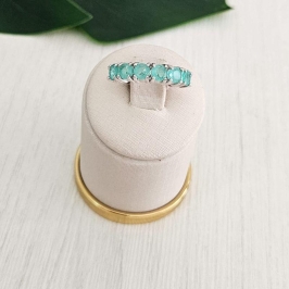 ANEL PT MEIA ALIANÇA