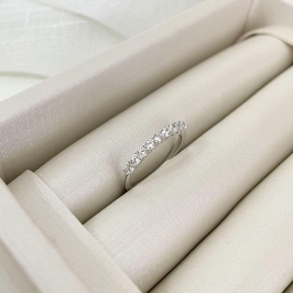 ANEL PT MEIA ALIANÇA