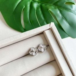 BR PT VIRGINIA LISO P