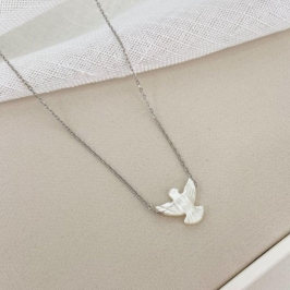 GARG PT MADREP DIVINO