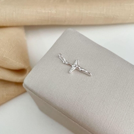 PG PT CRUZ DE CRISTO