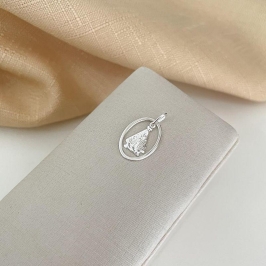 PG PT N SR APARECIDA