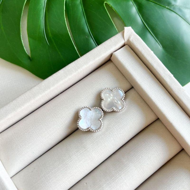 BR PT VIRGINIA BRANCO