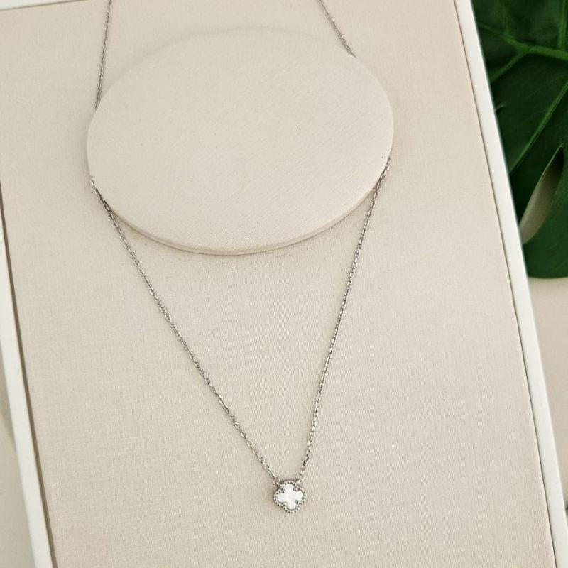 GARG PT VIRGINIA BRANCA