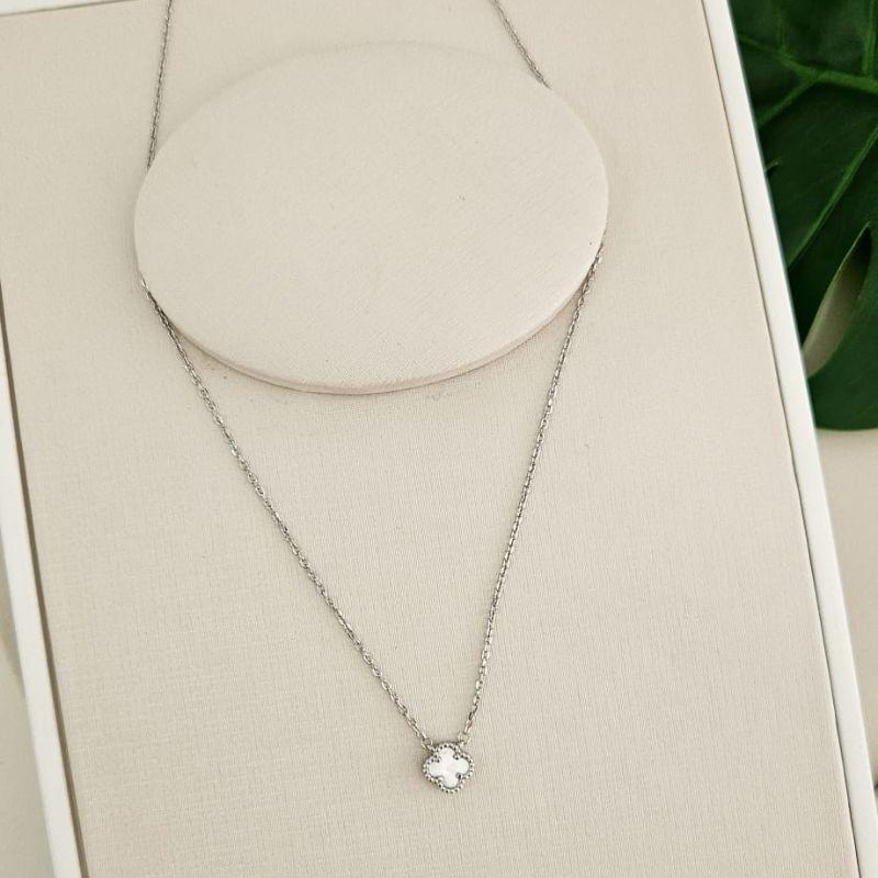 GARG PT VIRGINIA BRANCA