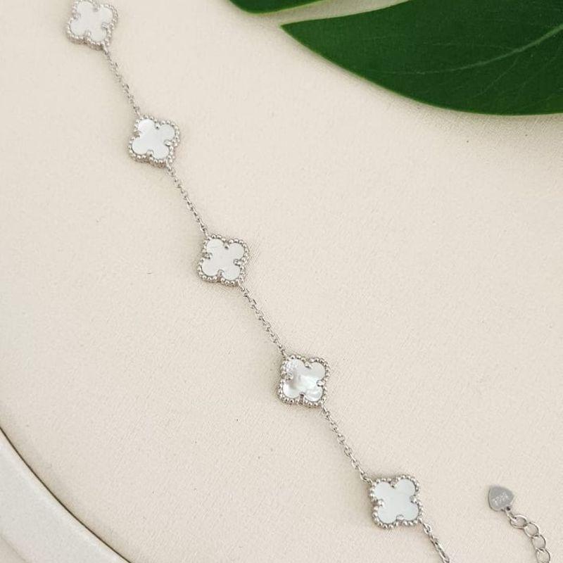 PULS PT VIRGINIA BRANCA